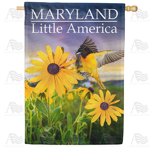 America Forever Little America House Flag