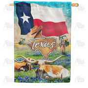America Forever Texas, The Lone Star State House Flag