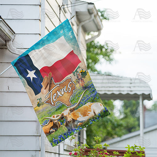 America Forever Texas, The Lone Star State House Flag
