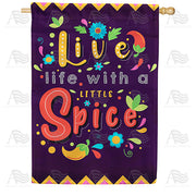 America Forever Spice Up Your Life! House Flag