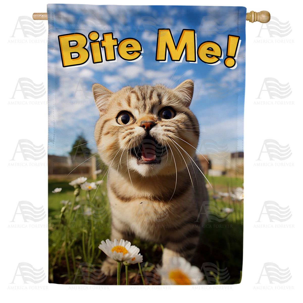 America Forever Hear Me Roar! House Flag