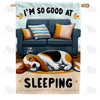 America Forever Expert Sleeper Beagle House Flag