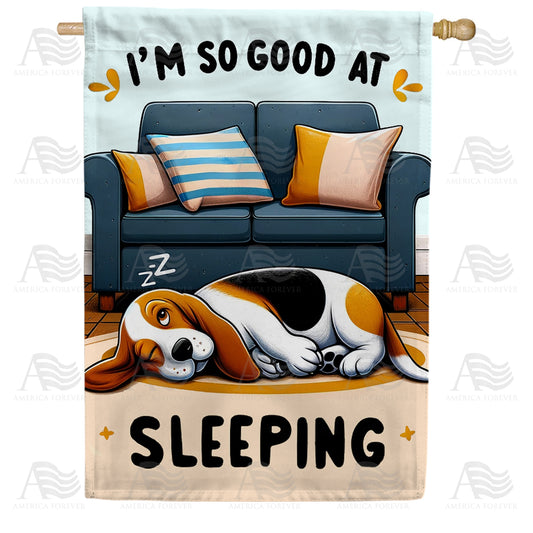 America Forever Expert Sleeper Beagle House Flag