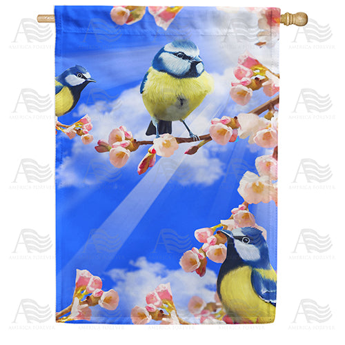 America Forever Spring Sunshine and Bluebirds House Flag