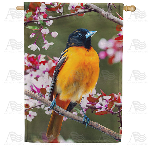 America Forever Baltimore Oriole House Flag