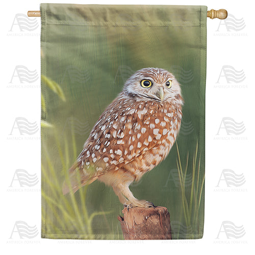 America Forever Burrowing Owl House Flag