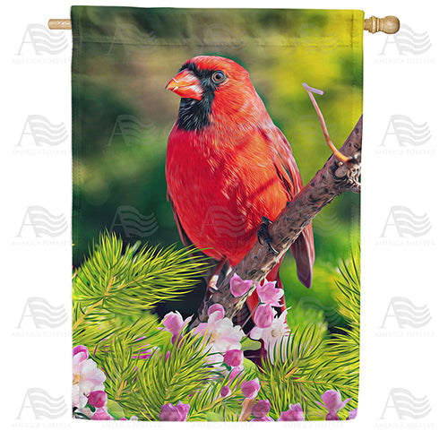 America Forever Cardinal In Sunshine House Flag