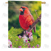 America Forever Cardinal In Sunshine House Flag