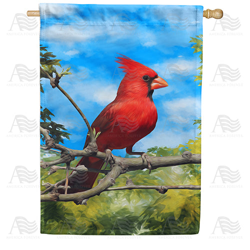 America Forever Handsome Mr. Cardinal House Flag