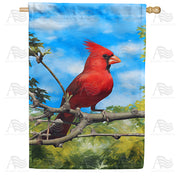 America Forever Handsome Mr. Cardinal House Flag