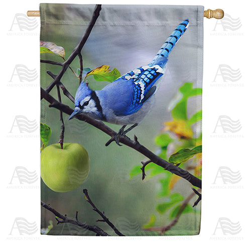 America Forever Blue Jay In Apple Tree House Flag