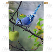 America Forever Blue Jay In Apple Tree House Flag