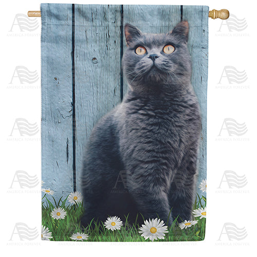 America Forever Gray Cat House Flag