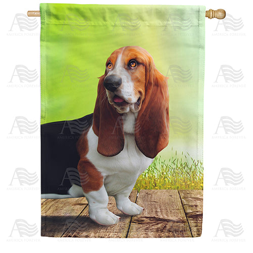 America Forever All Ears Basset Hound House Flag