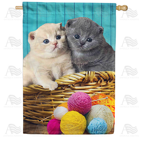 America Forever Close Knit Kittens House Flag