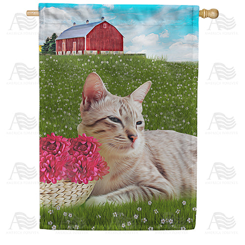 America Forever Cat Napping In Field House Flag