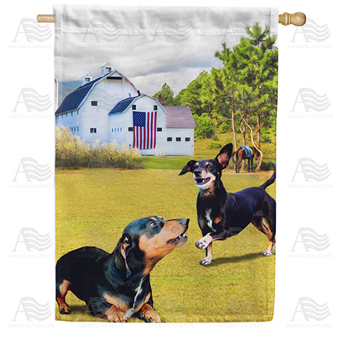 America Forever Hot Dog! Let's Play! House Flag