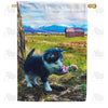 America Forever Kitten Discovers First Flower House Flag