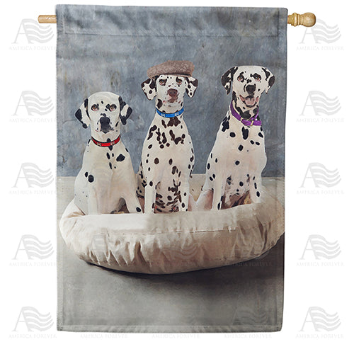 America Forever Dapper Dalmatian Trio House Flag