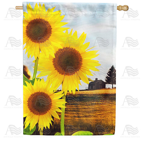 America Forever Country Sunshine House Flag