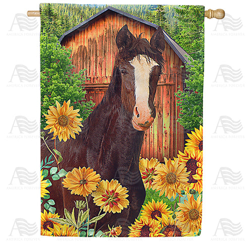 America Forever Horse loves Sunflowers House Flag