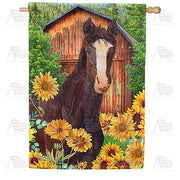 America Forever Horse loves Sunflowers House Flag