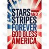 Stars and Stripes Forever Patriotic House Flag