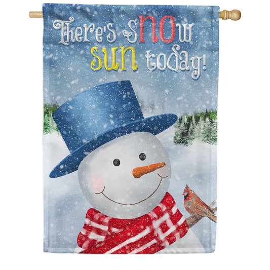 America Forever There's Snow Sun Today! House Flag