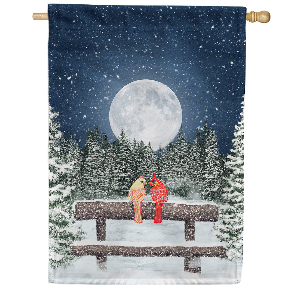 America Forever Winter Moon House Flag
