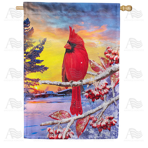 America Forever Bitter Cold Day House Flag