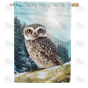 America Forever Winter Morning House Flag