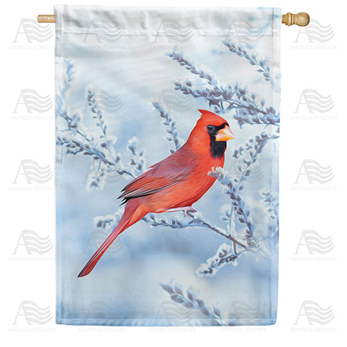 America Forever Winter Red Beauty House Flag