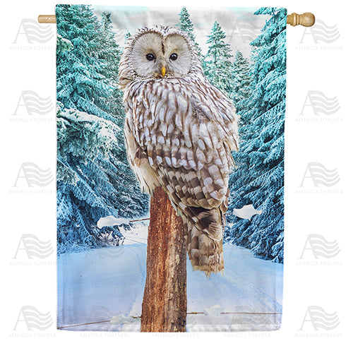 America Forever Owl's Winter Perch House Flag