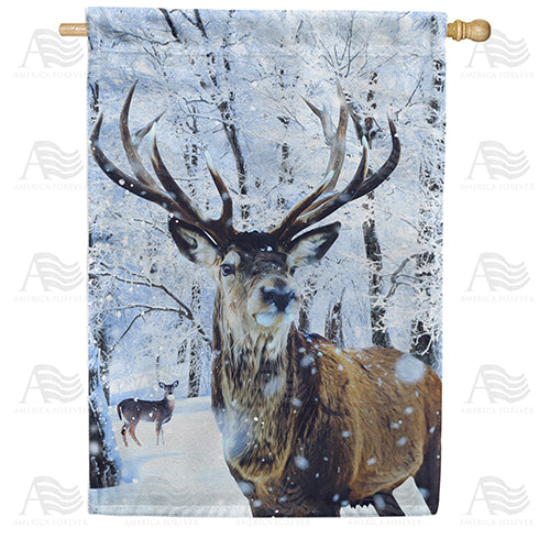 America Forever Ten Pointer House Flag