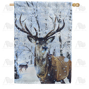 America Forever Ten Pointer House Flag