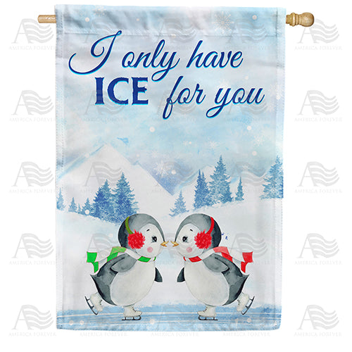 America Forever Cute Penguin Skaters House Flag