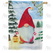 America Forever Walking In A Winter Gnomeland House Flag