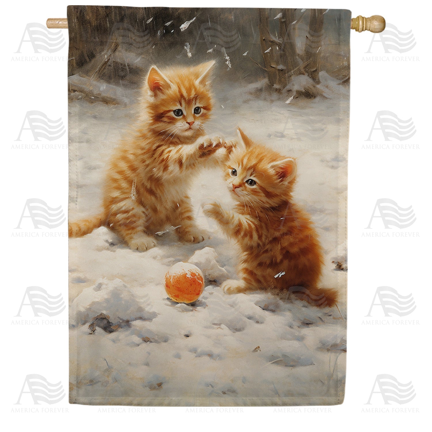 America Forever Kittens' First Snow House Flag