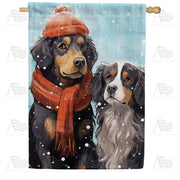America Forever Dog Park Trip Cancelled House Flag