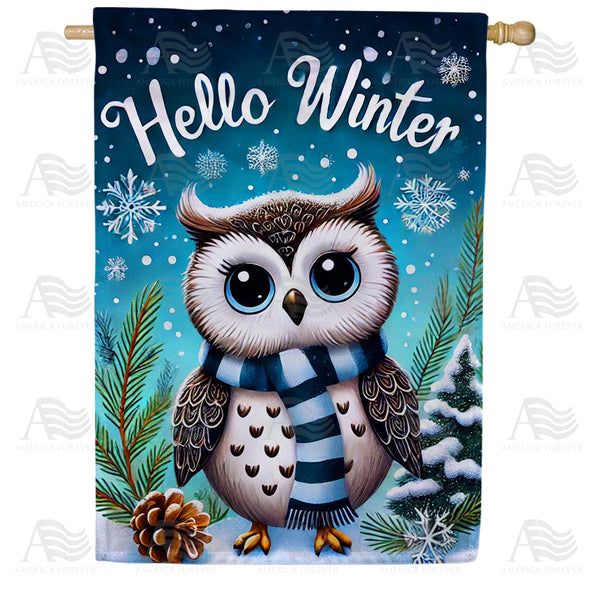 America Forever Hello Winter Owl House Flag