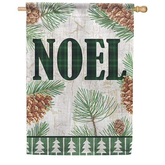 Carson Noel and Pine House Flag