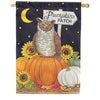 Carson Pumpkin Patch Owl House Flag