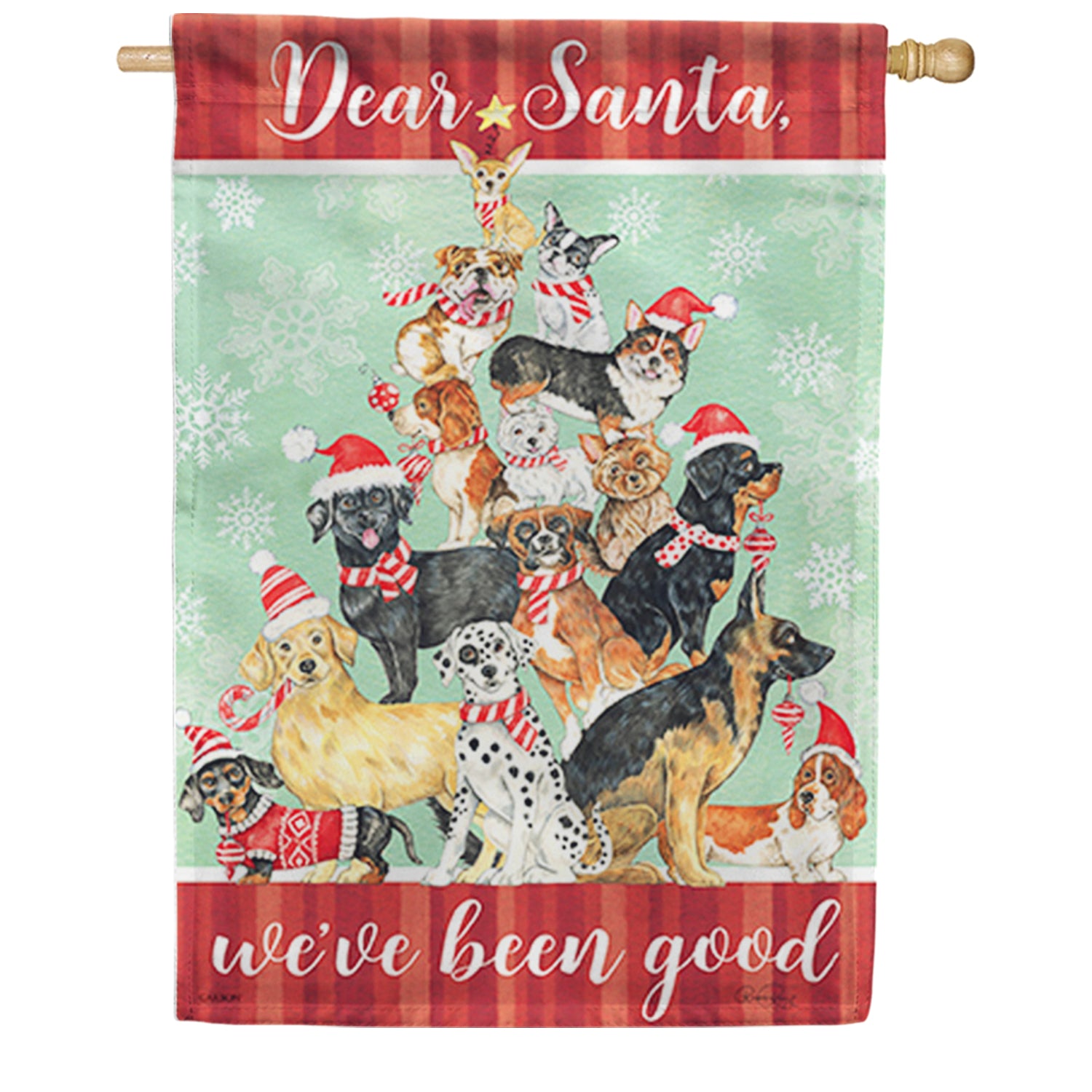 Carson We've Been Good House Flag