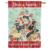 Carson We've Been Good House Flag