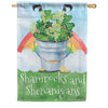 Carson Patterned Shamrock Basket House Flag