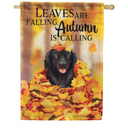Carson Leaf Pile House Flag