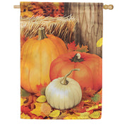 Carson Autumn Pumpkins House Flag