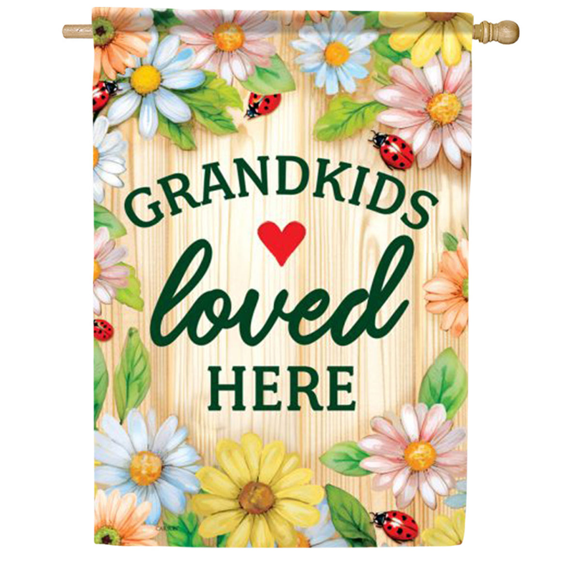Carson Grandkids House Flag