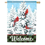 Carson Winter Cardinals House Flag