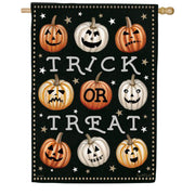 Carson 9 Pumpkins House Flag